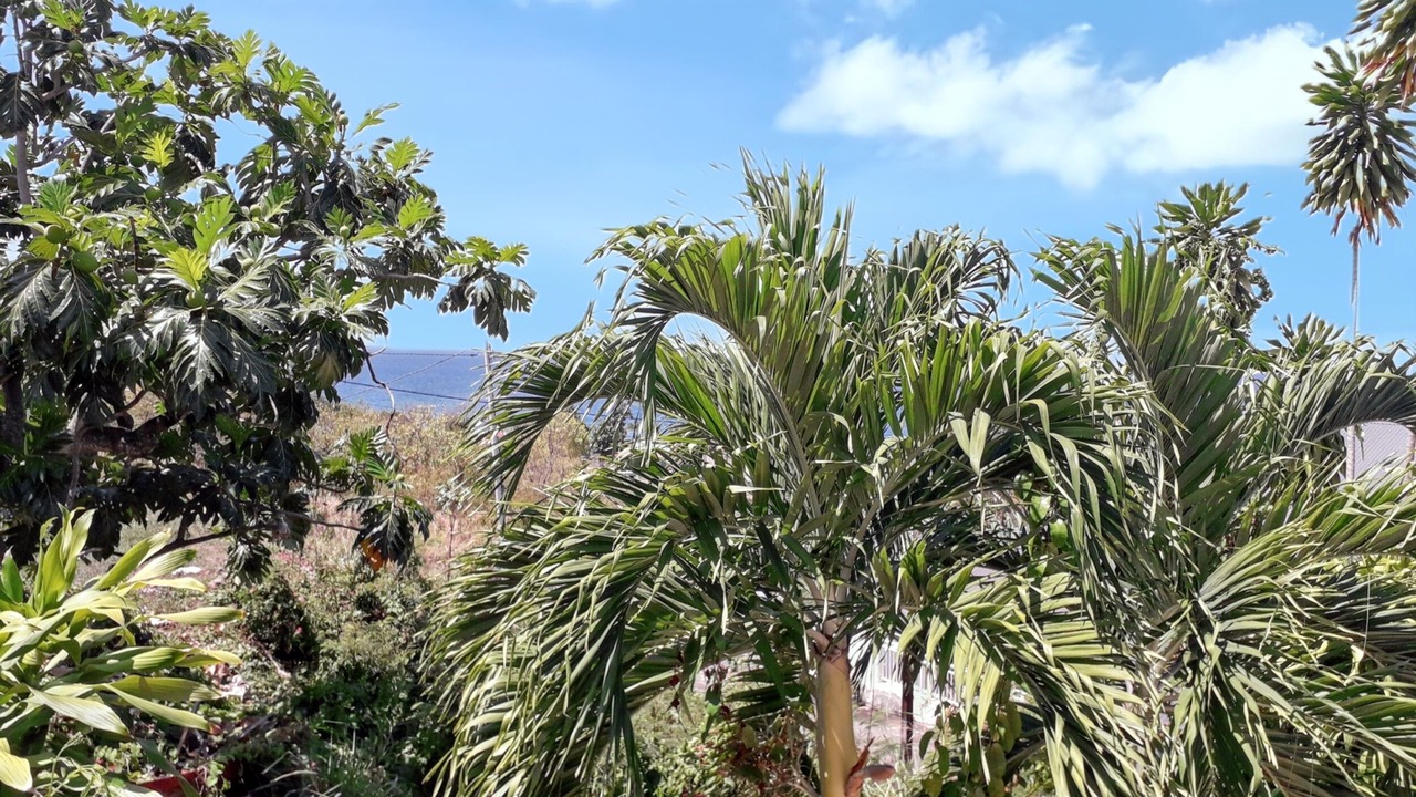 Photo of Others in Marigot