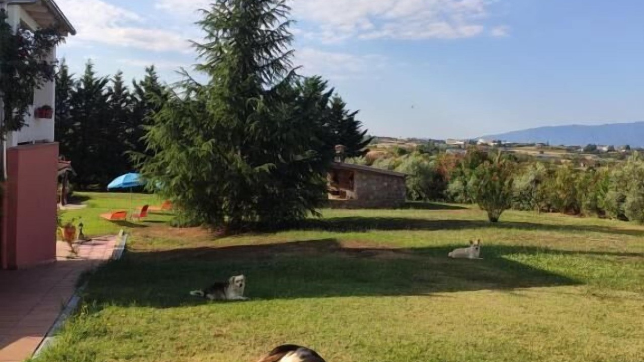 Photo of Outdoor in Drama