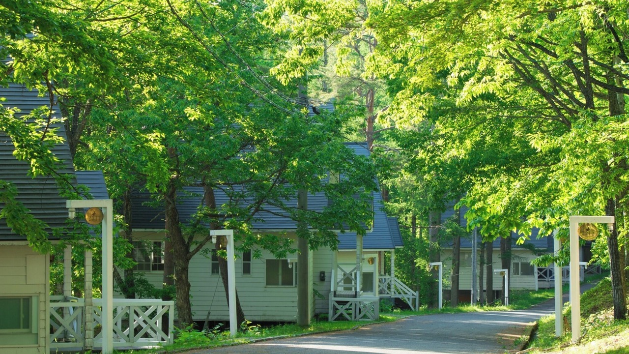 Photo of Outdoor in Hakusan National Park