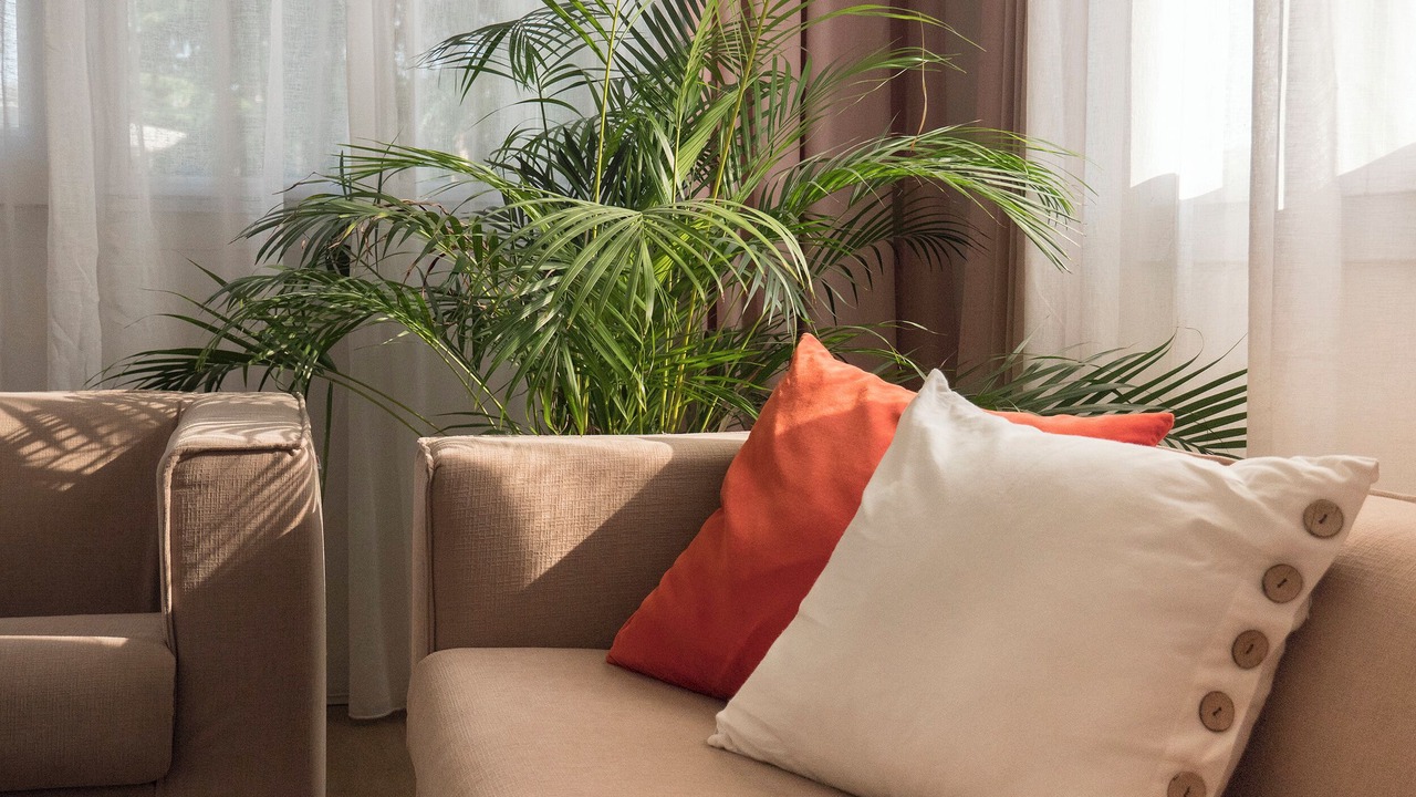 Photo of Livingroom in Padova