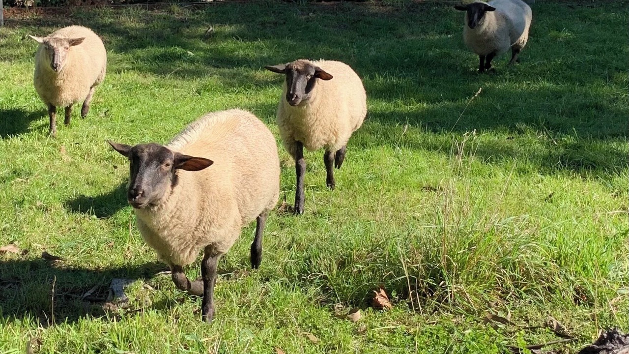 Photo of Others in Clarkville