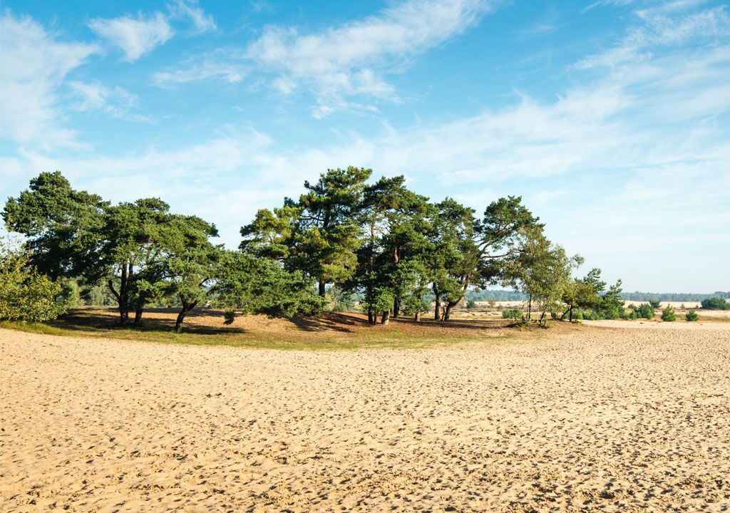 Photo of Others in Waalwijk
