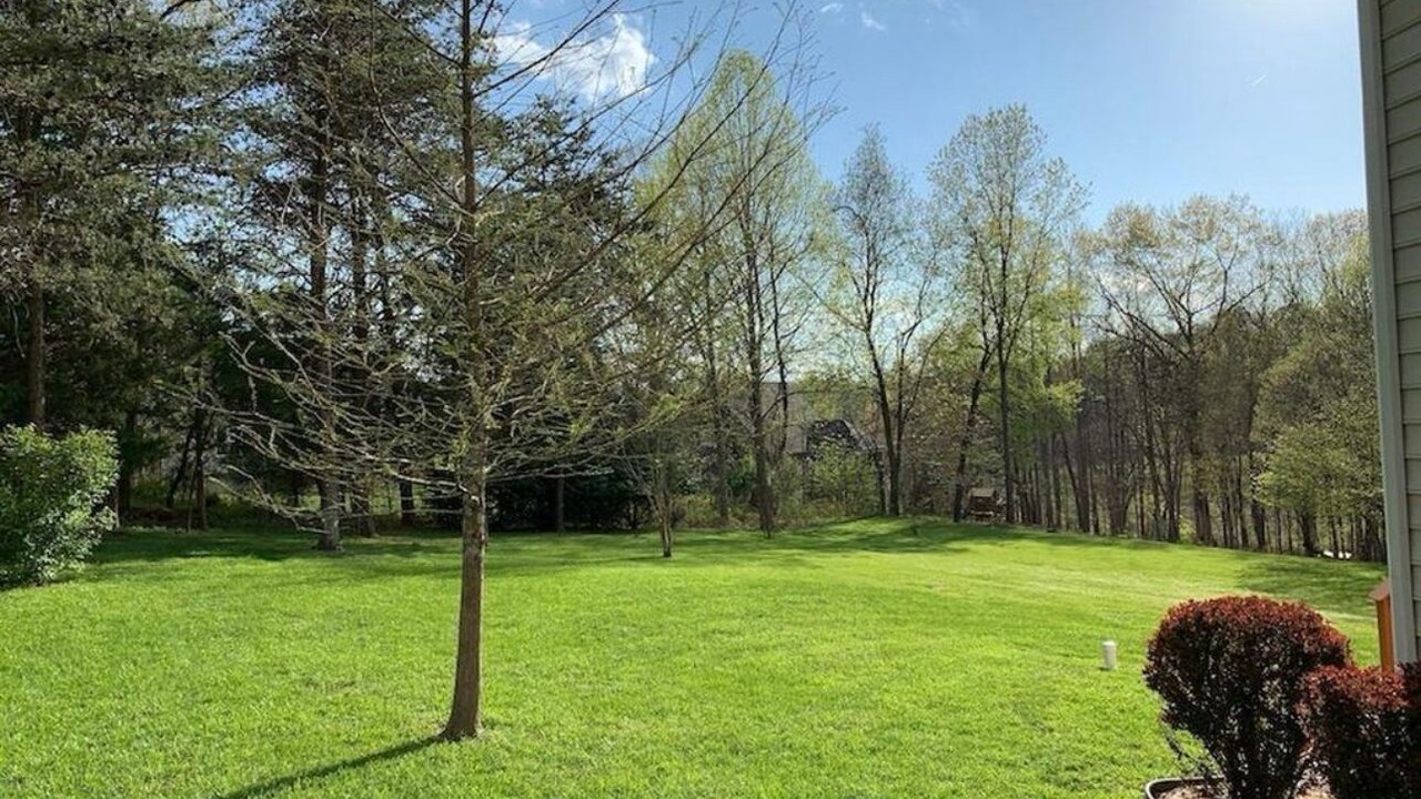 Photo of Outdoor in Forest