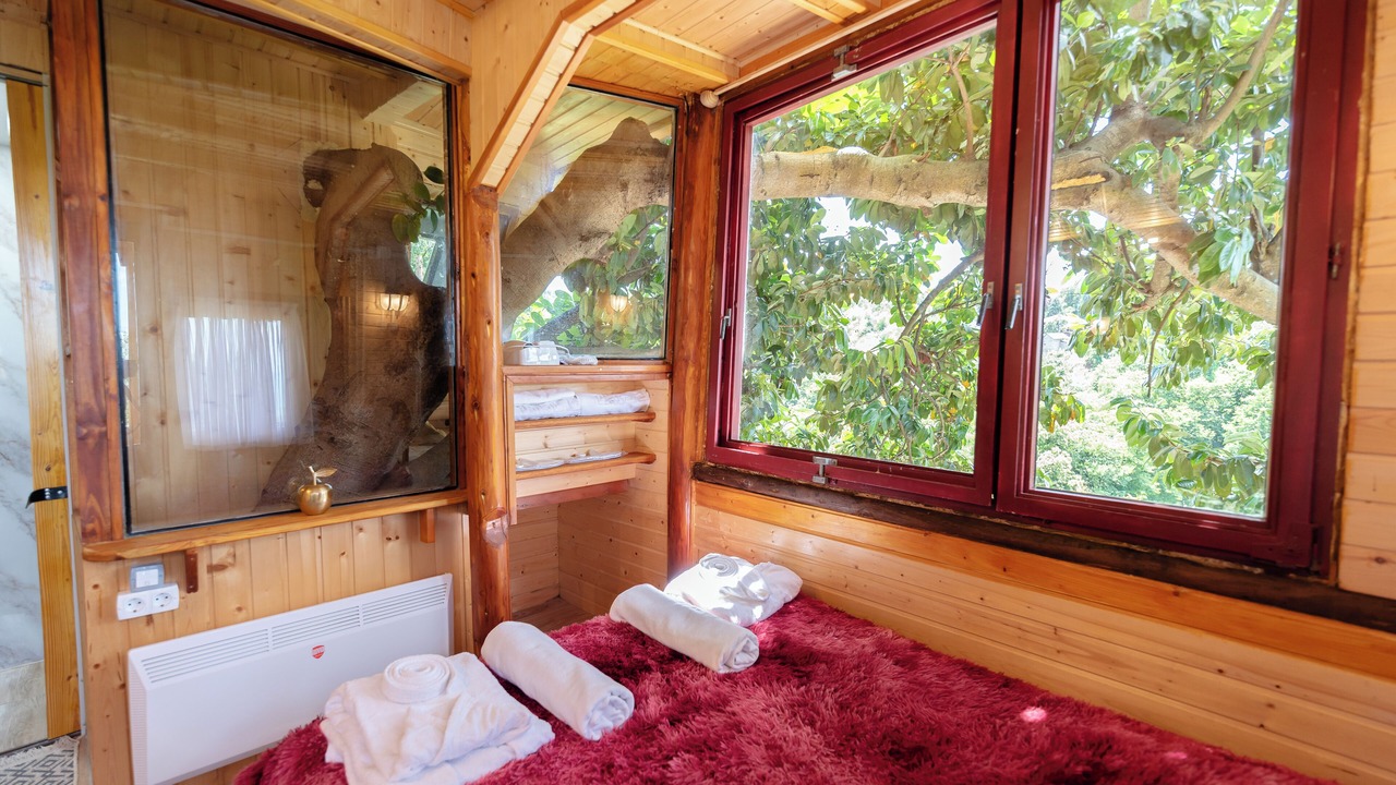Photo of Bedroom in Kobuleti