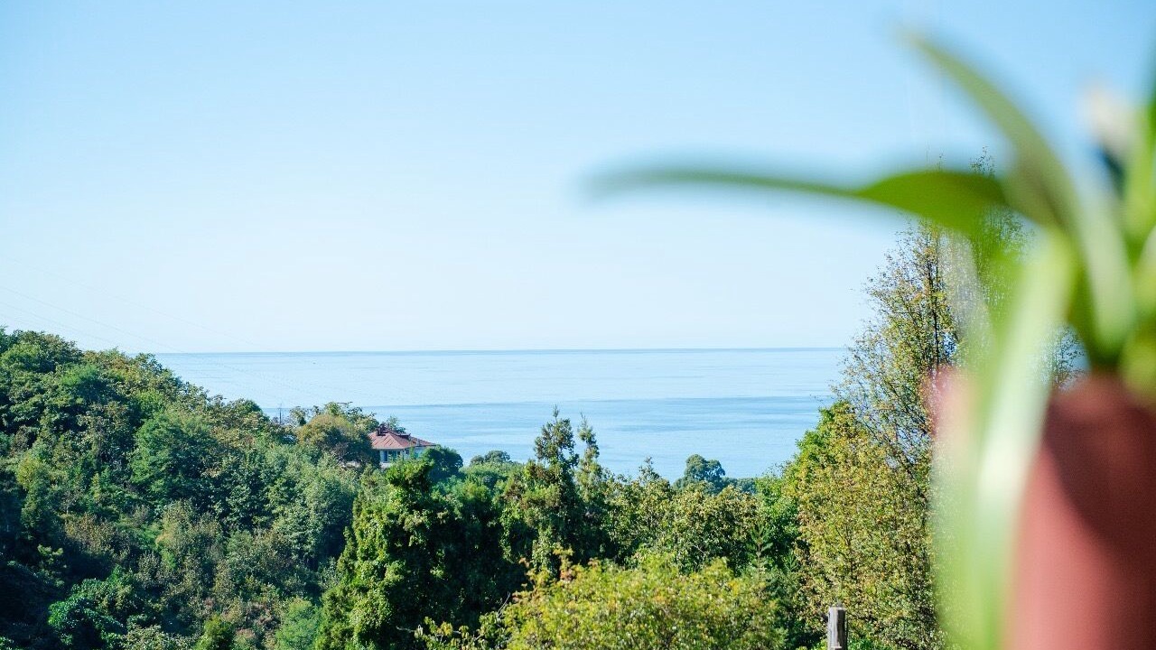 Photo of Others in Kobuleti