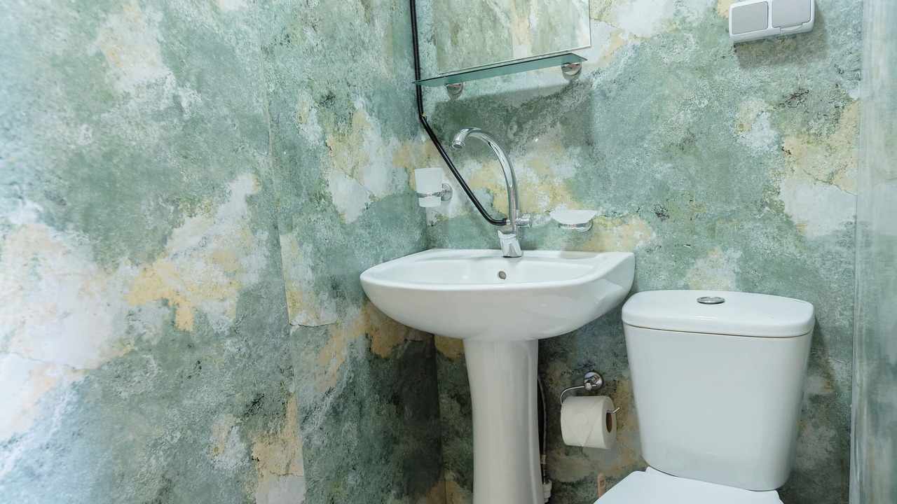 Photo of Bathroom in Kobuleti