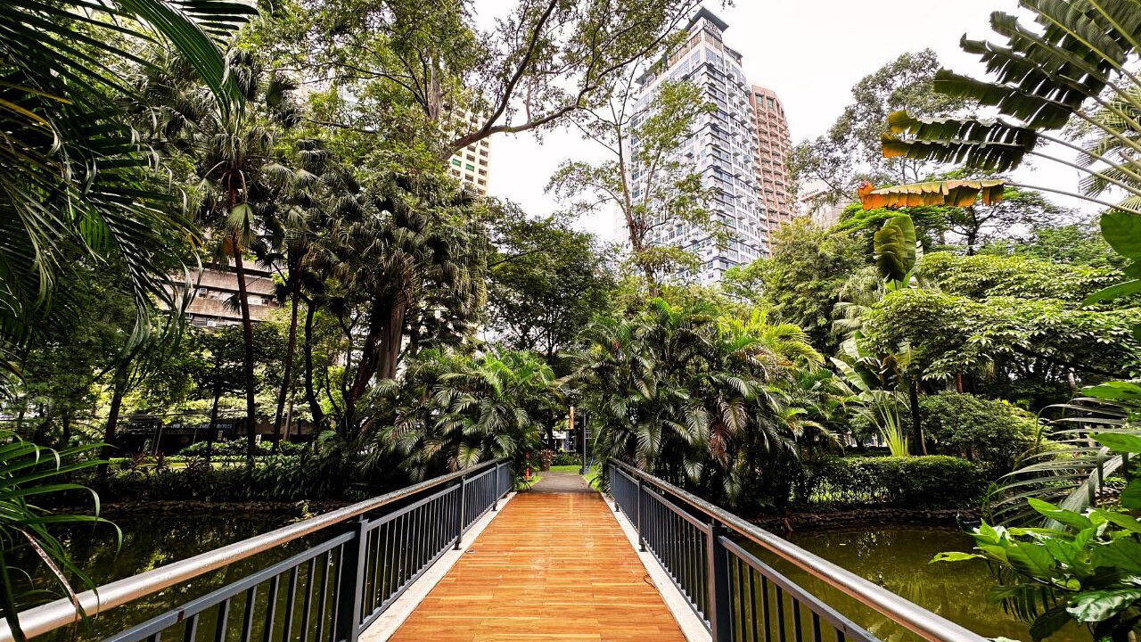 Photo of Outdoor in San Lorenzo