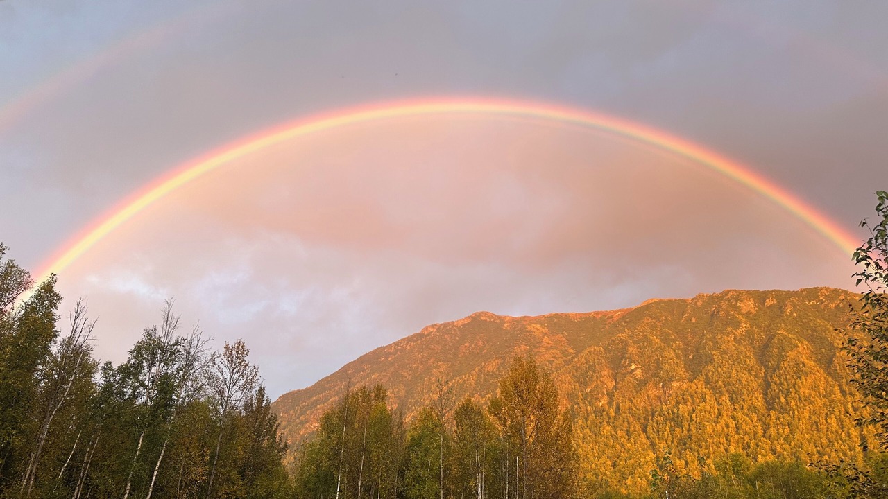Photo of Others in Chugiak
