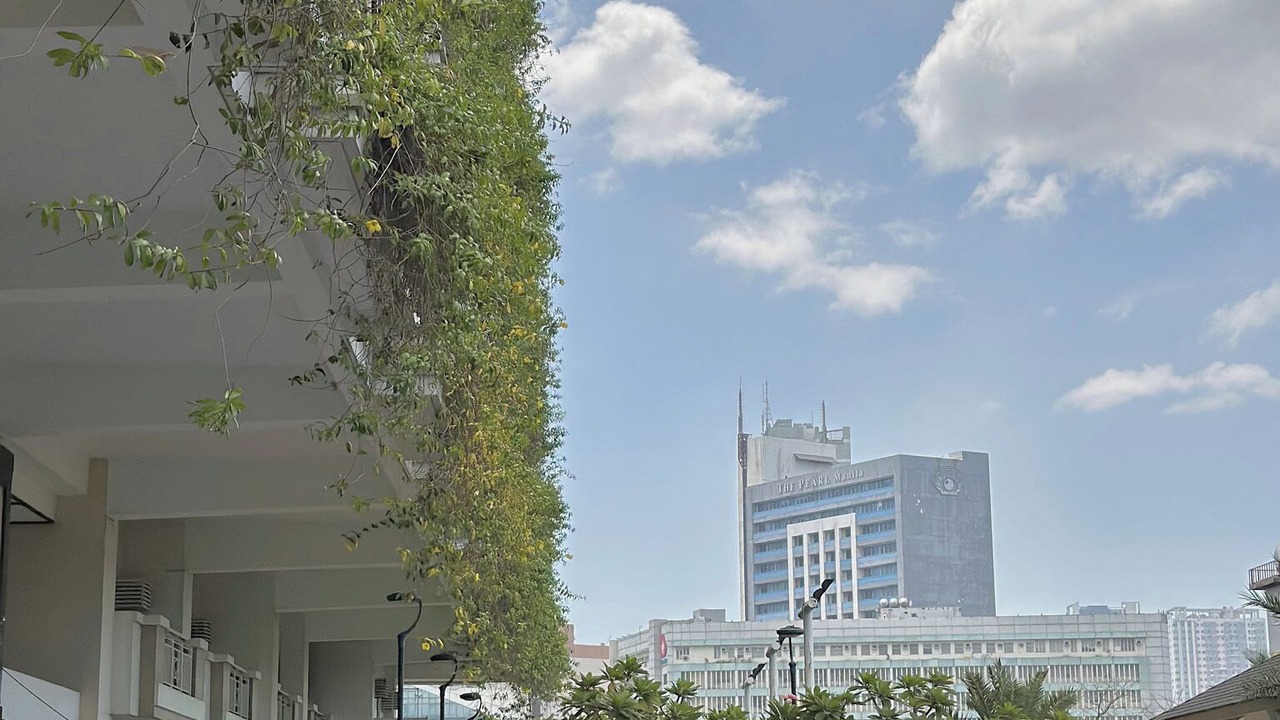 Photo of Outdoor in Paco