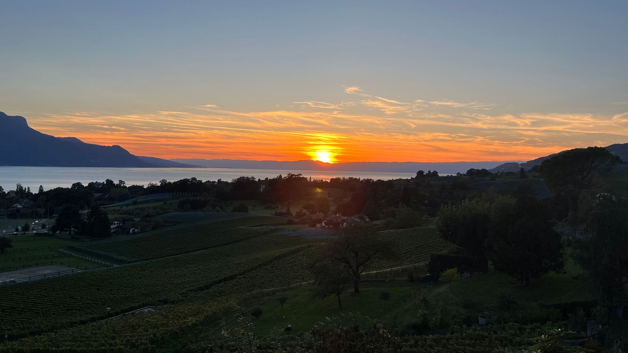 Photo of Others in Montreux