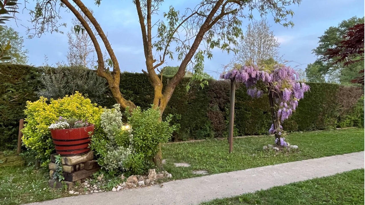 Photo of Outdoor in Rubano
