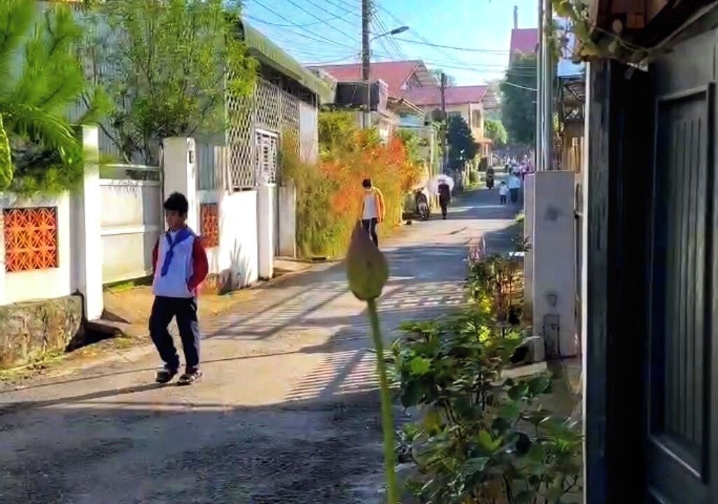 Photo of Others in Bao Loc