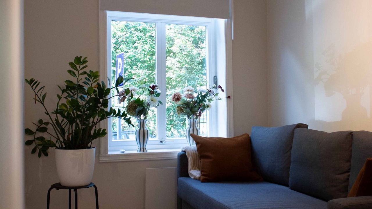 Photo of Livingroom in Toyen