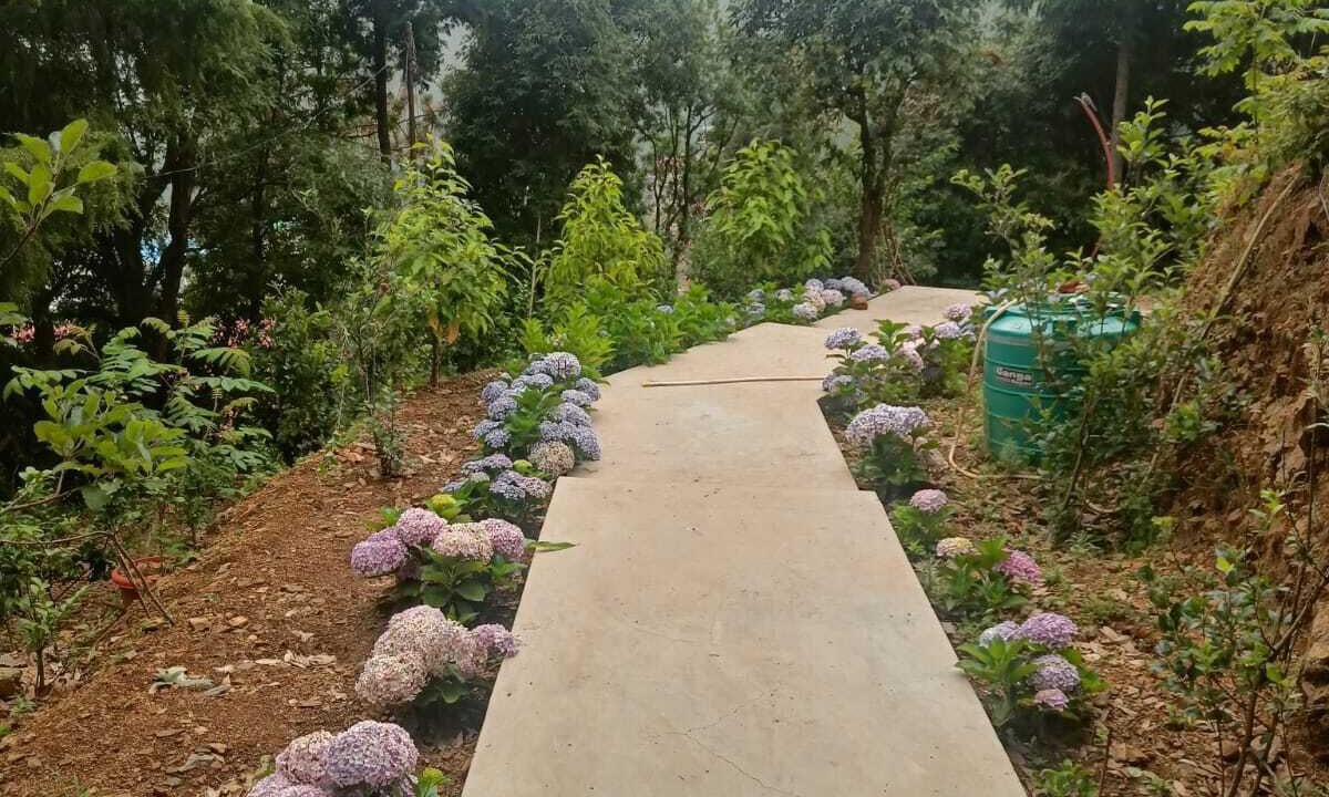 Photo of Outdoor in Bhowali
