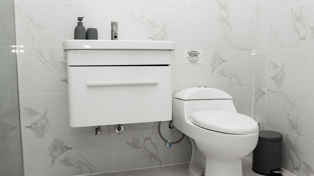 Photo of Bathroom in Canovanas
