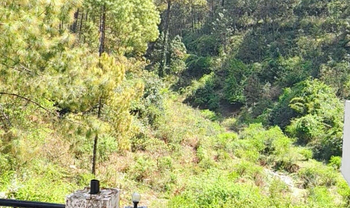 Photo of Outdoor in Shyamkhet