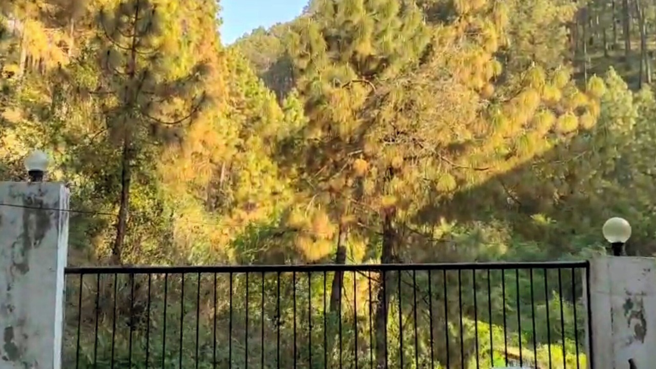 Photo of Outdoor in Shyamkhet