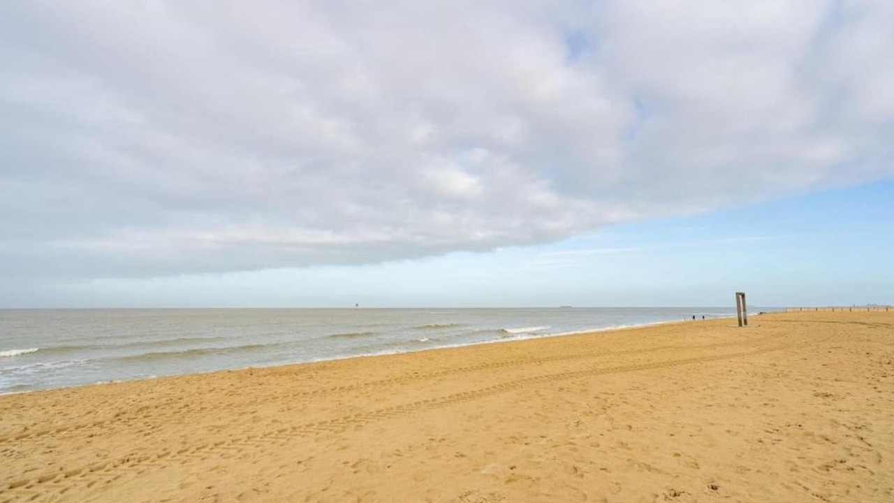 Photo of Others in Knokke