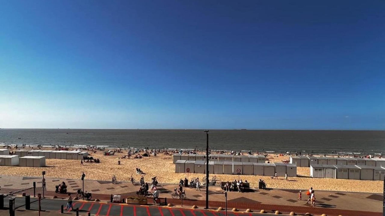 Photo of Others in Knokke