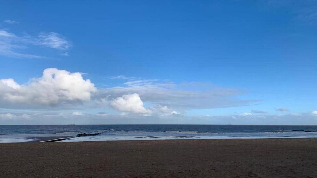 Photo of Others in Knokke