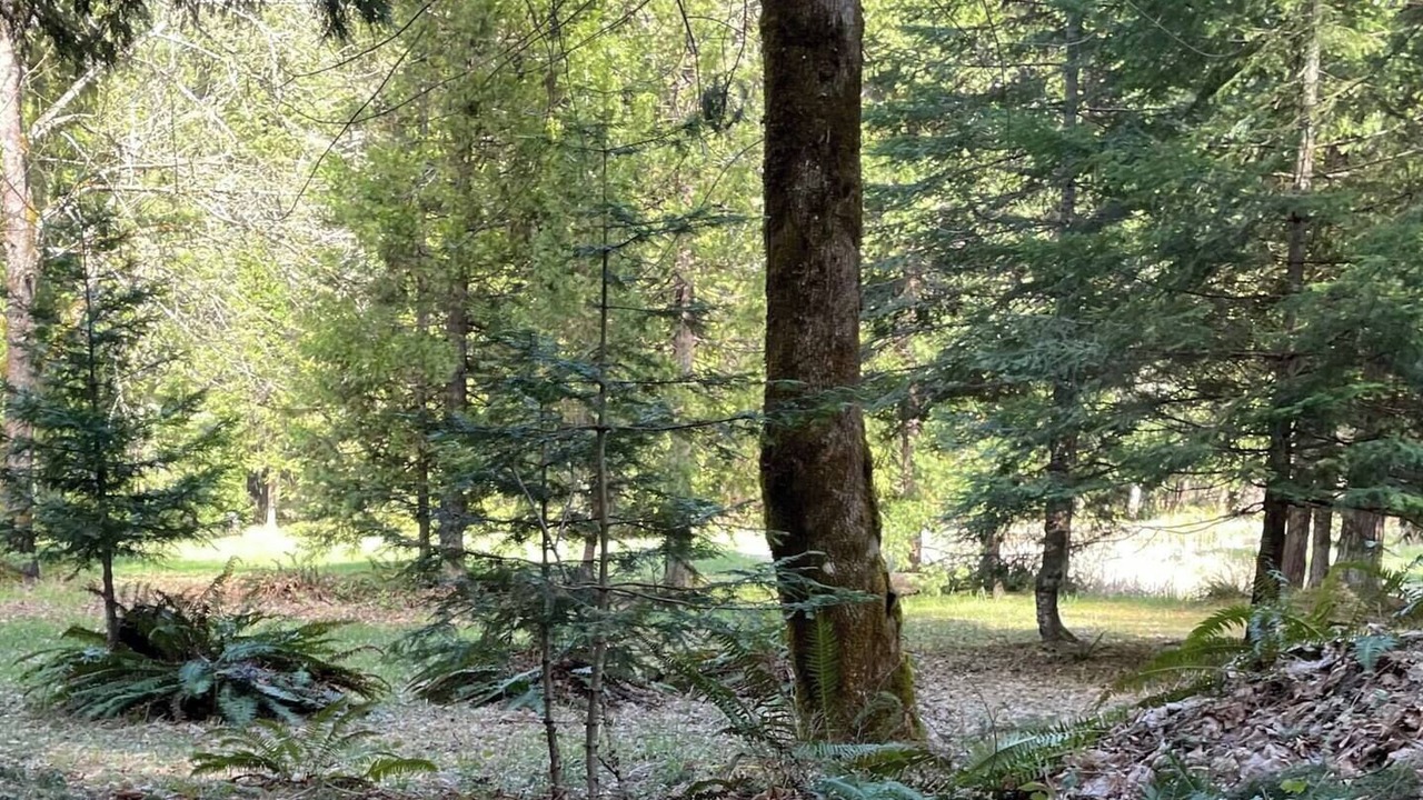 Photo of Others in Douglas County
