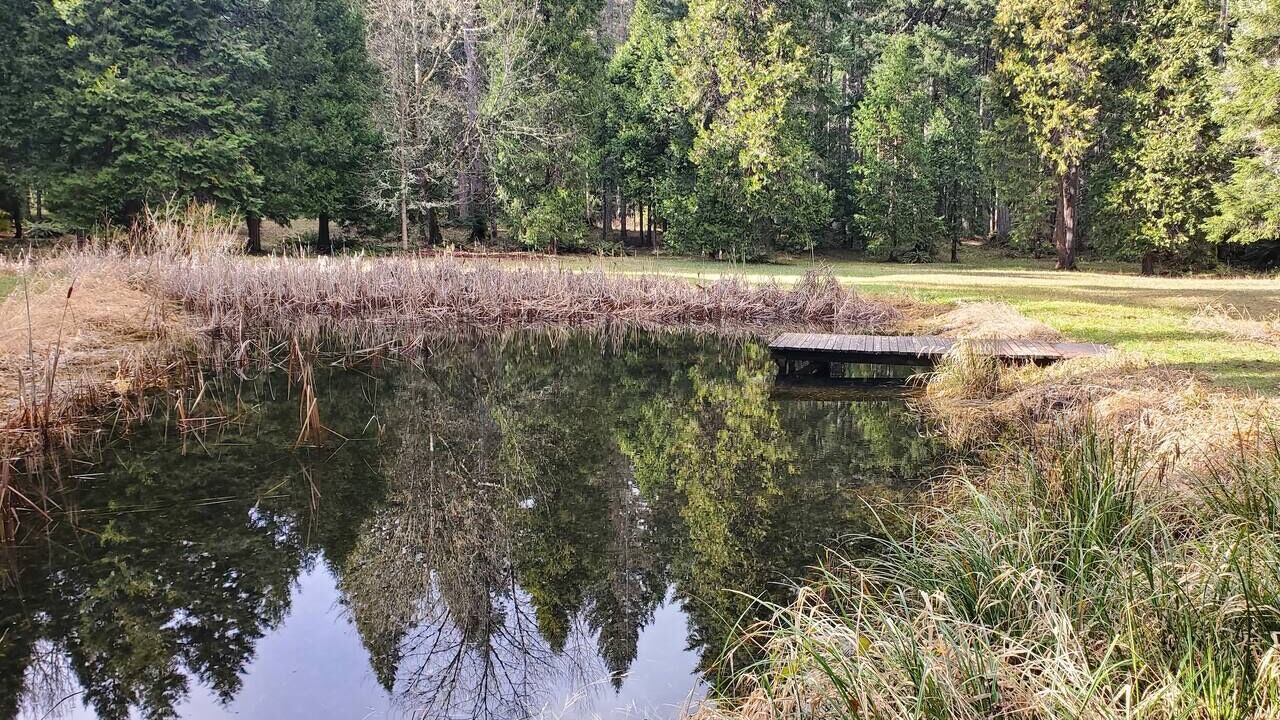 Photo of Outdoor in Douglas County