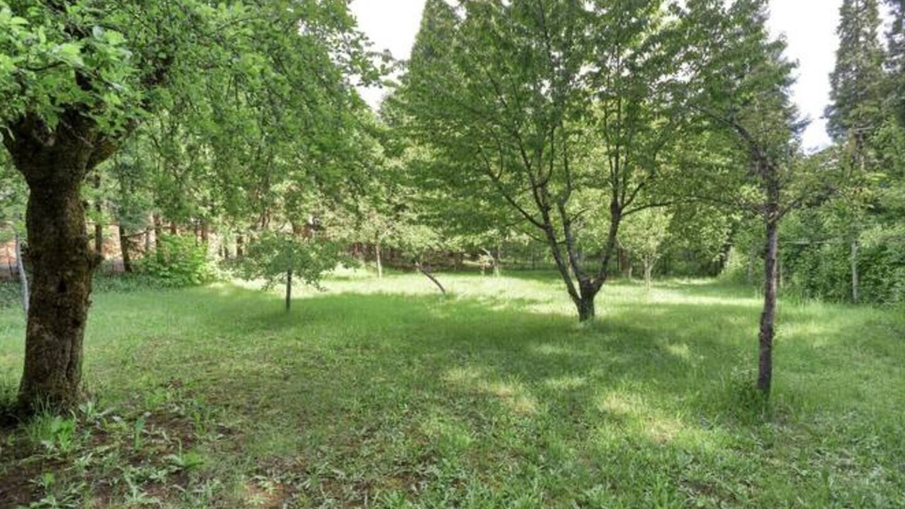 Photo of Others in Douglas County