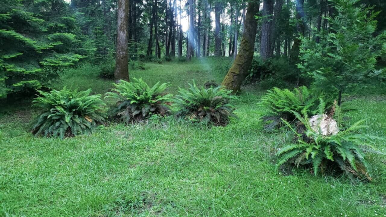 Photo of Others in Douglas County