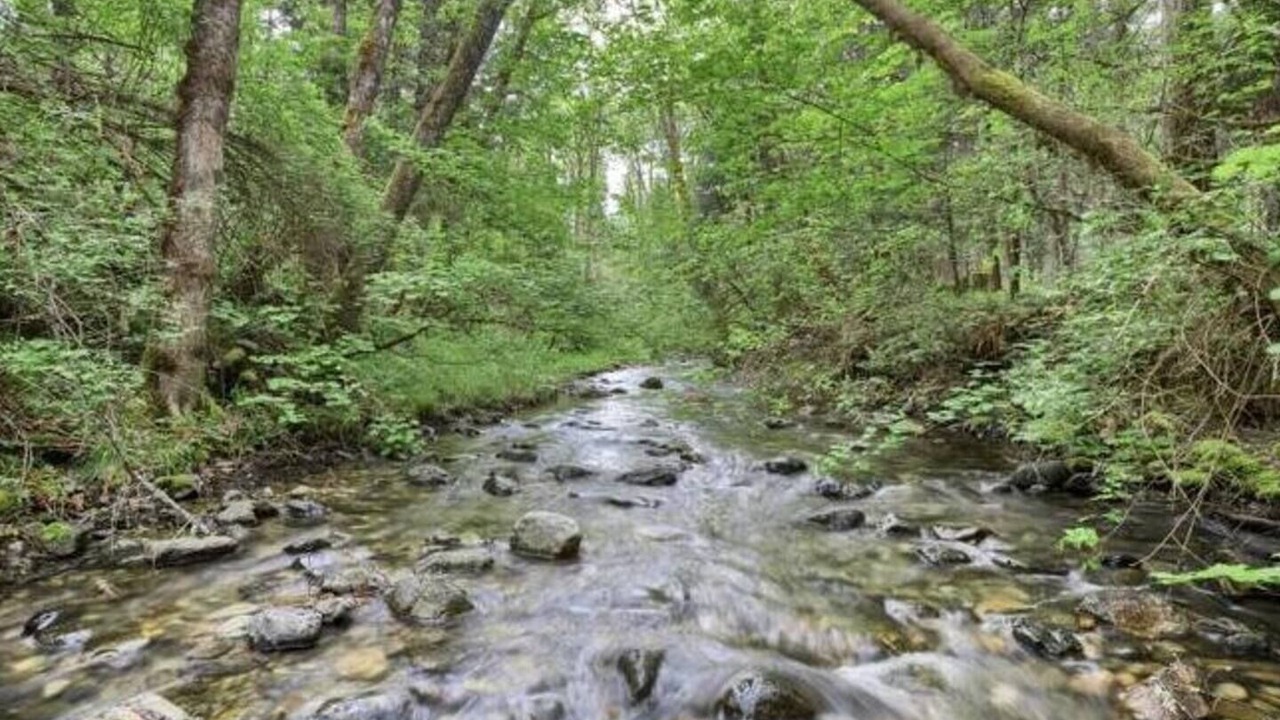 Photo of Others in Douglas County
