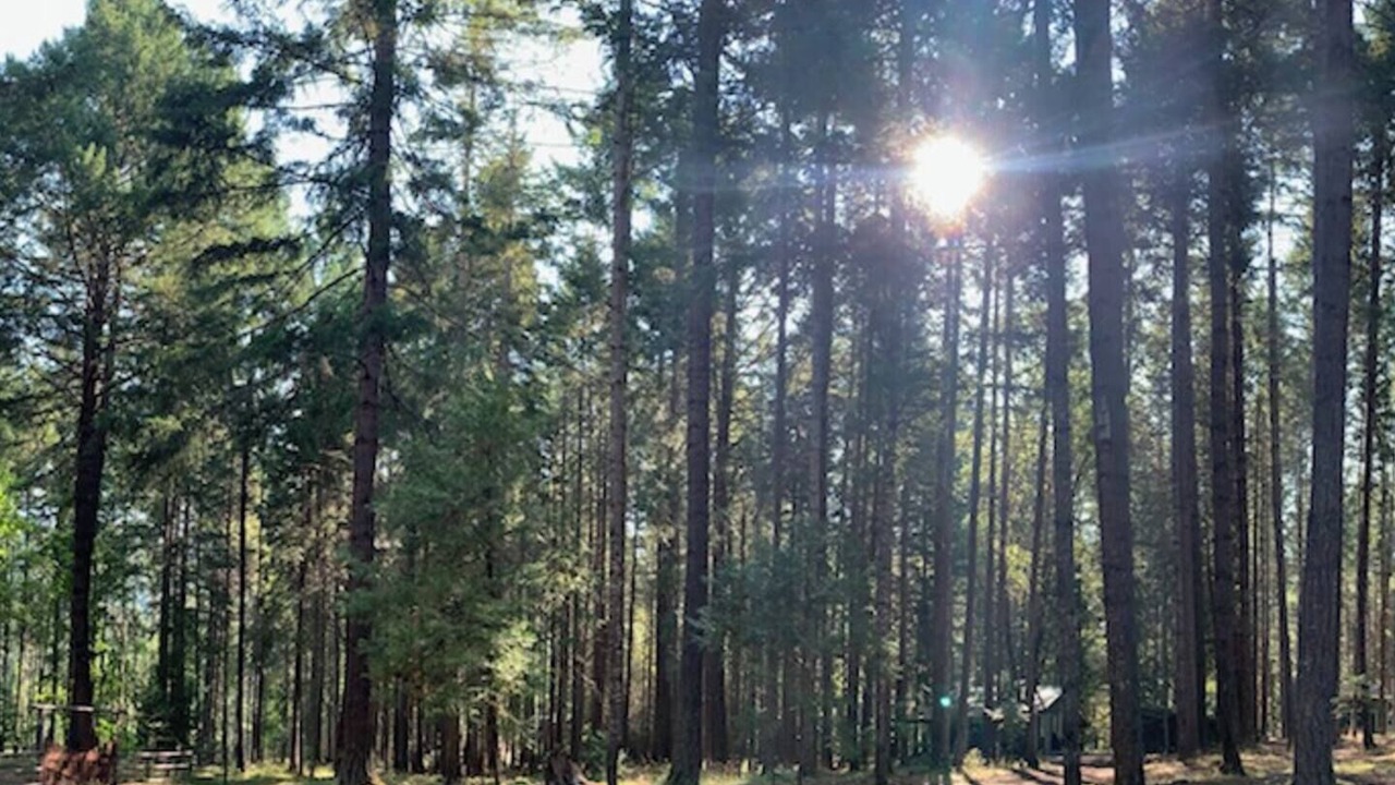 Photo of Others in Douglas County