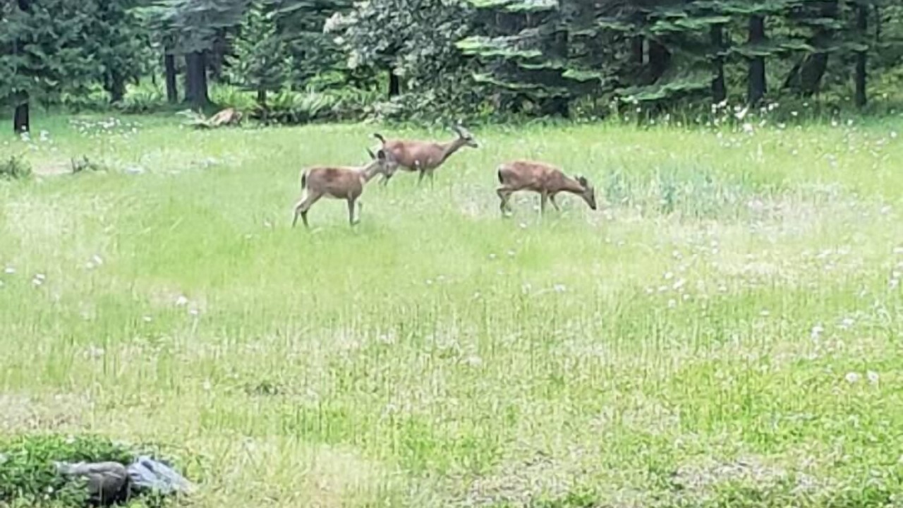 Photo of Others in Douglas County