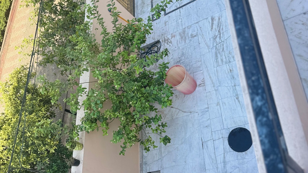 Photo of Patio Balcony in Jalandhar