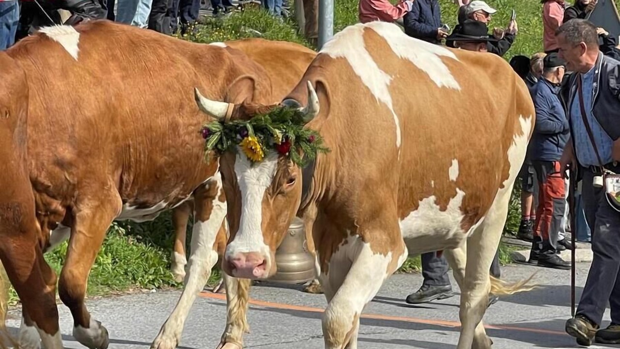 Photo of Others in Alpe des Chaux