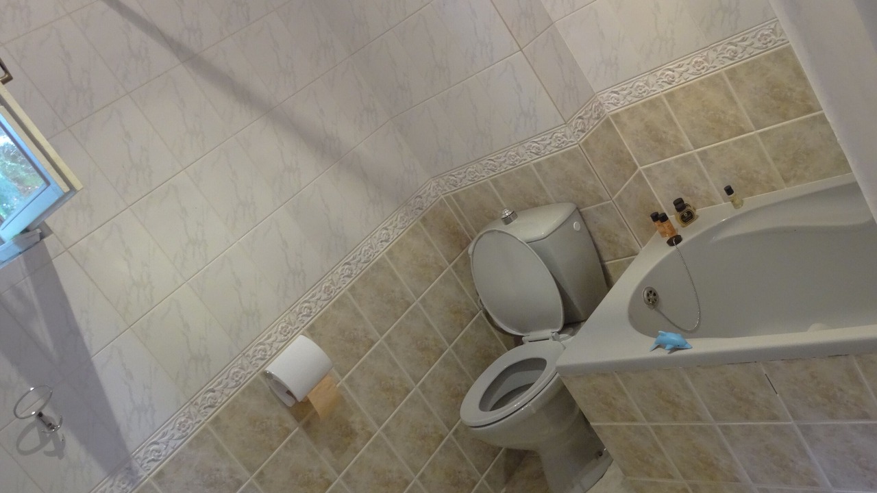 Photo of Bathroom in Sinaia