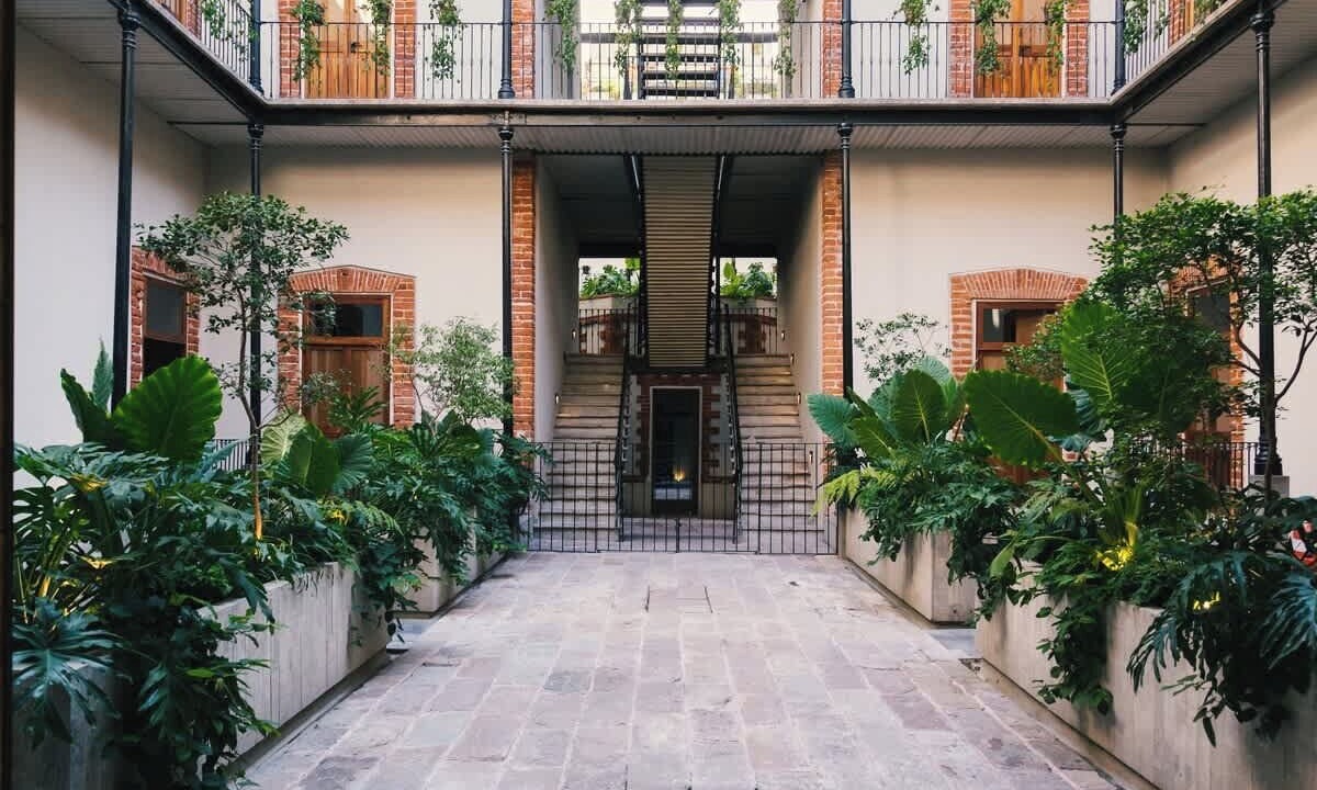 Photo of Outdoor in Cuauhtemoc