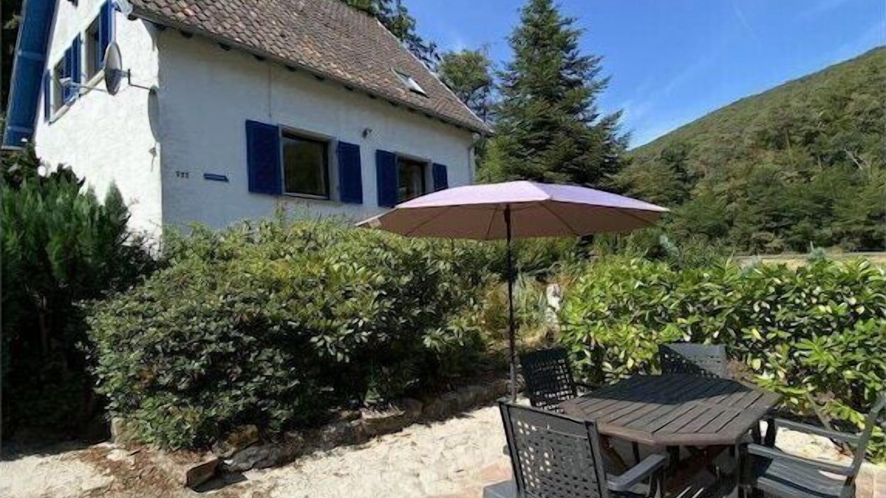 Photo of Others in Wachenheim an der Weinstrasse