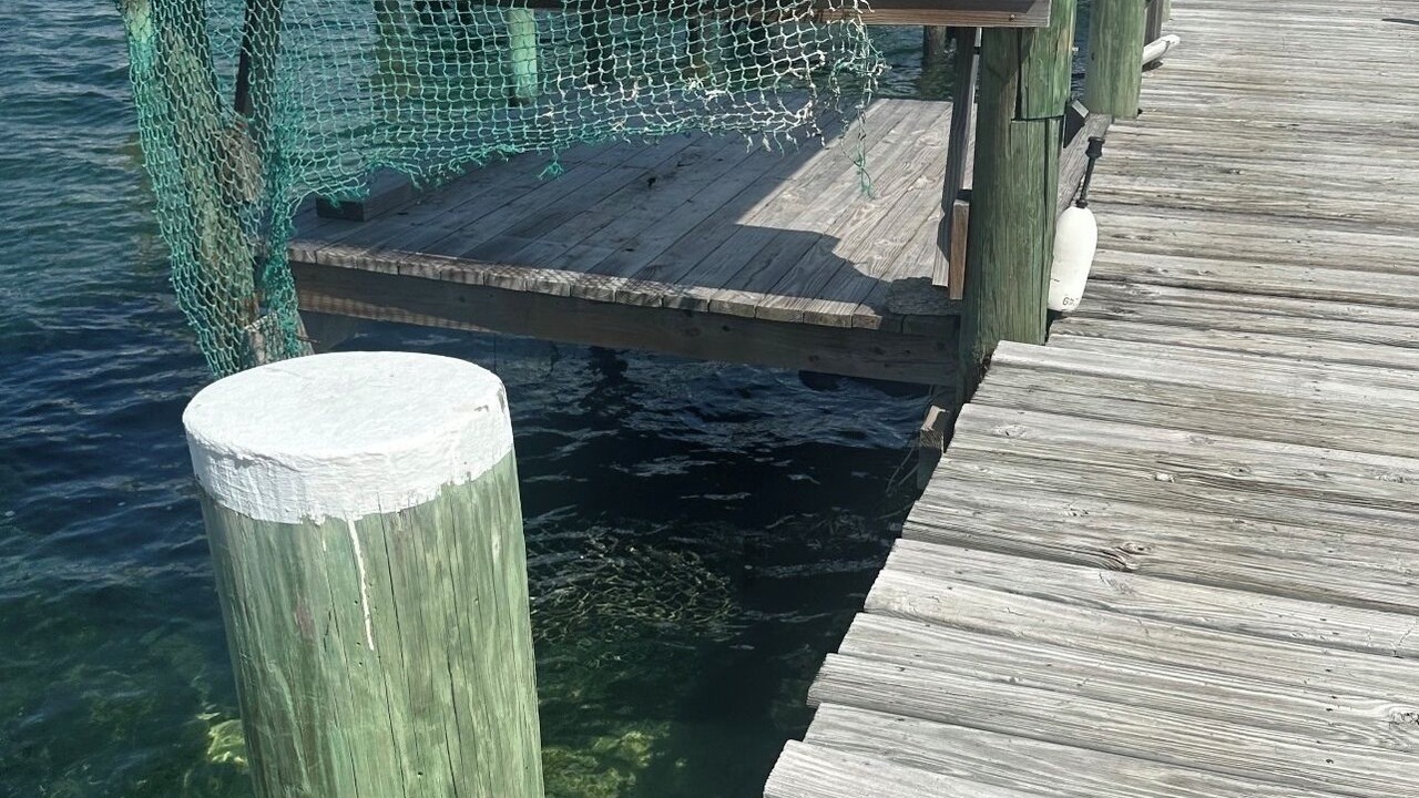 Photo of Others in Green Turtle Cay