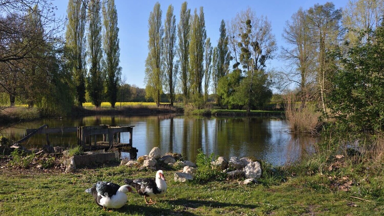 Photo of Others in Nouan-sur-Loire