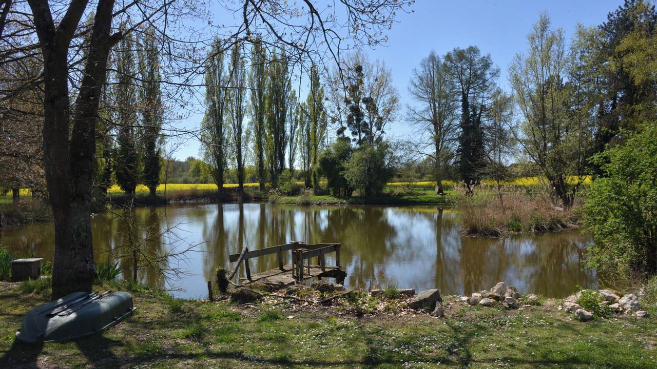 Photo of Others in Nouan-sur-Loire