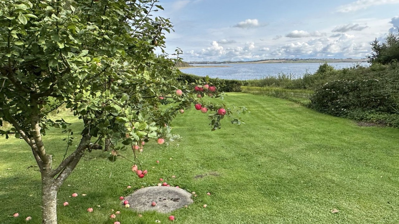 Photo of Others in Ronbjerg