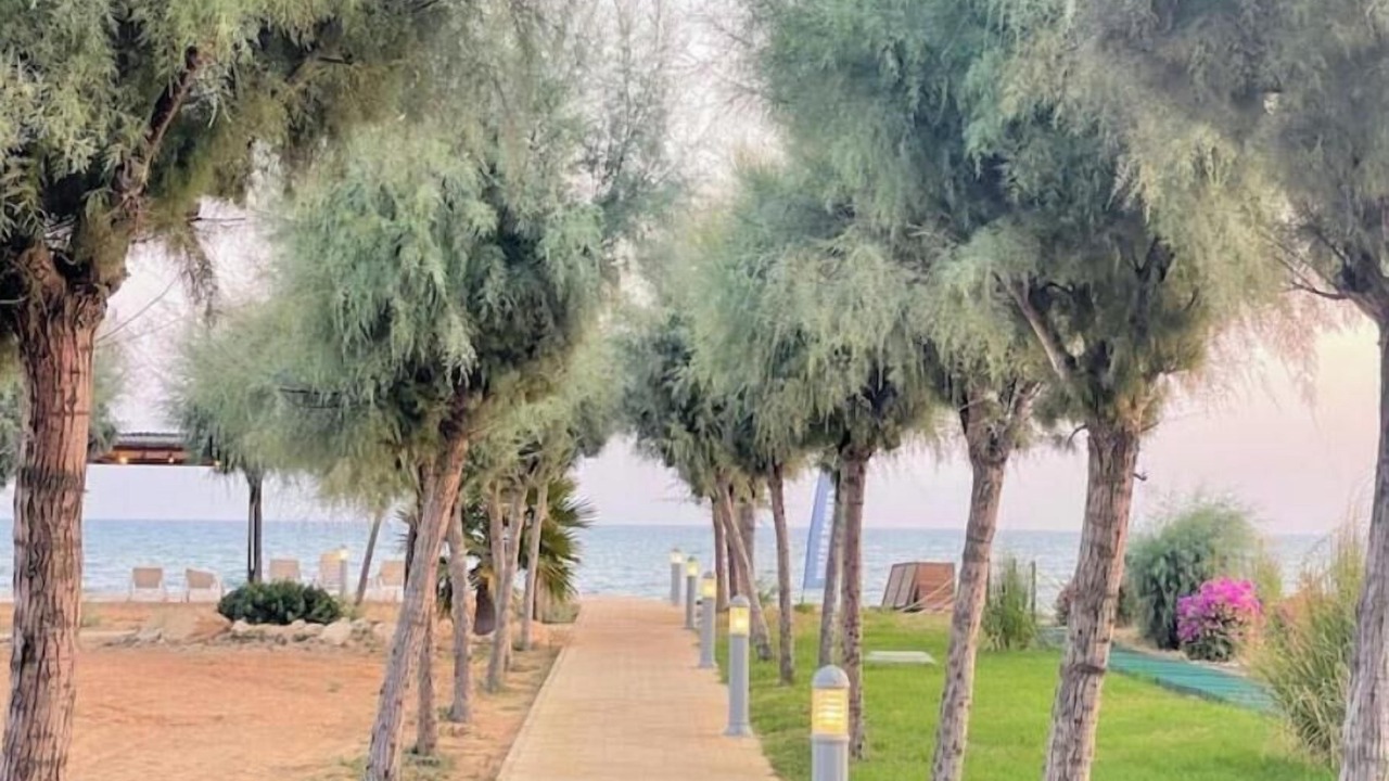 Photo of Outdoor in Bafra