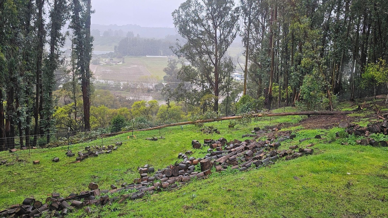 Photo of Others in Prunedale