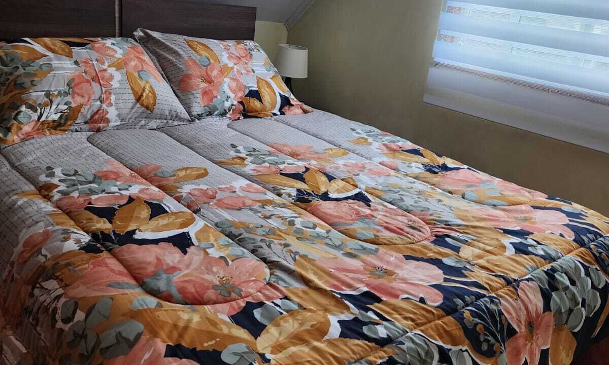 Photo of Bedroom in Puerto Varas
