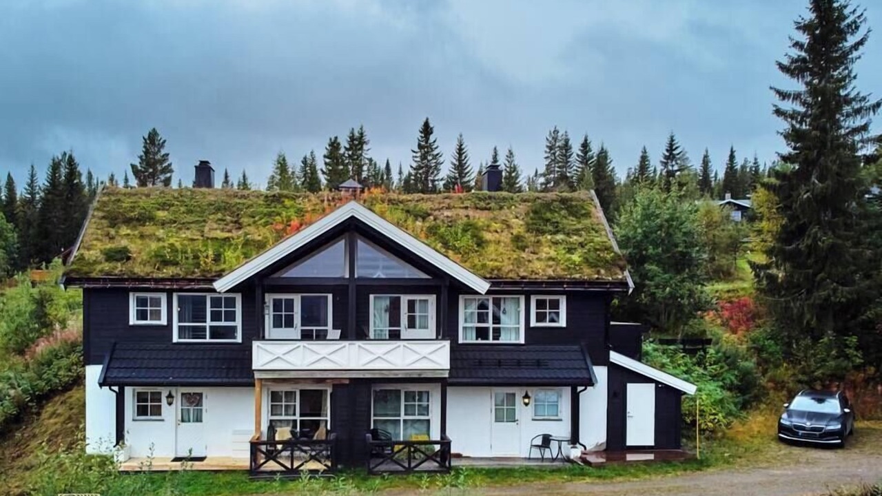 Photo of Outdoor in Trysil