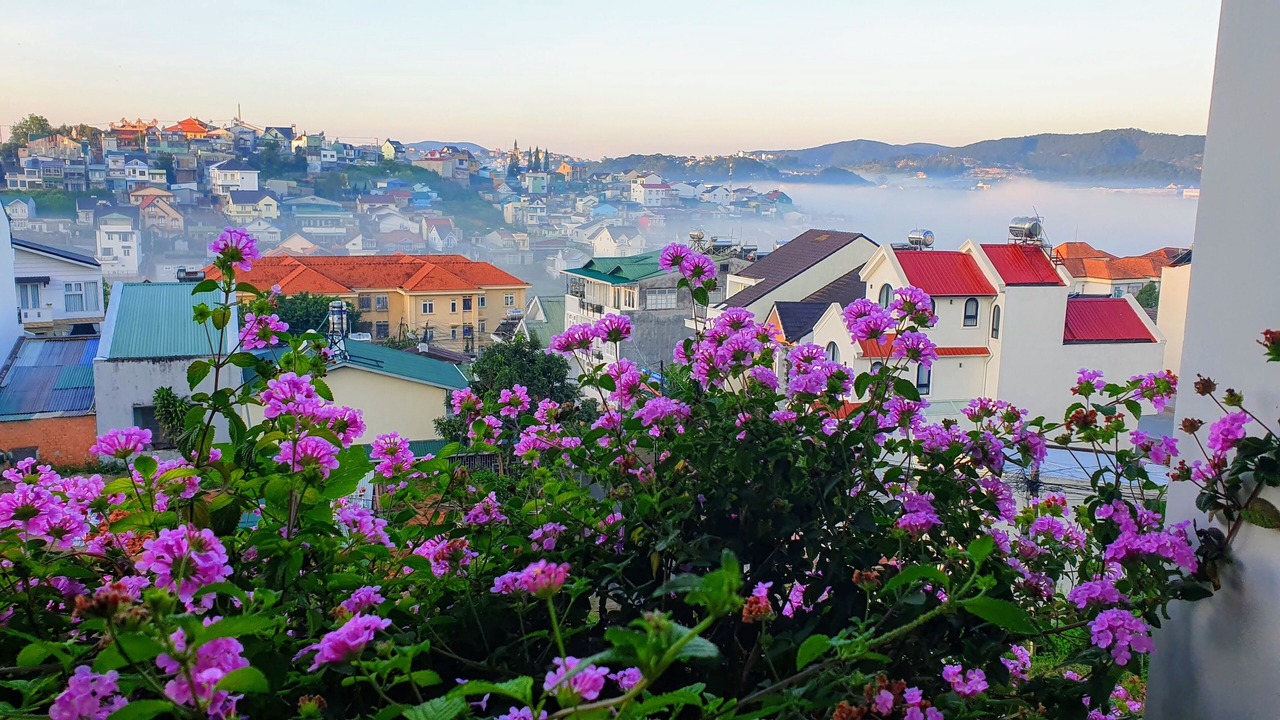 Photo of Others in Da Lat