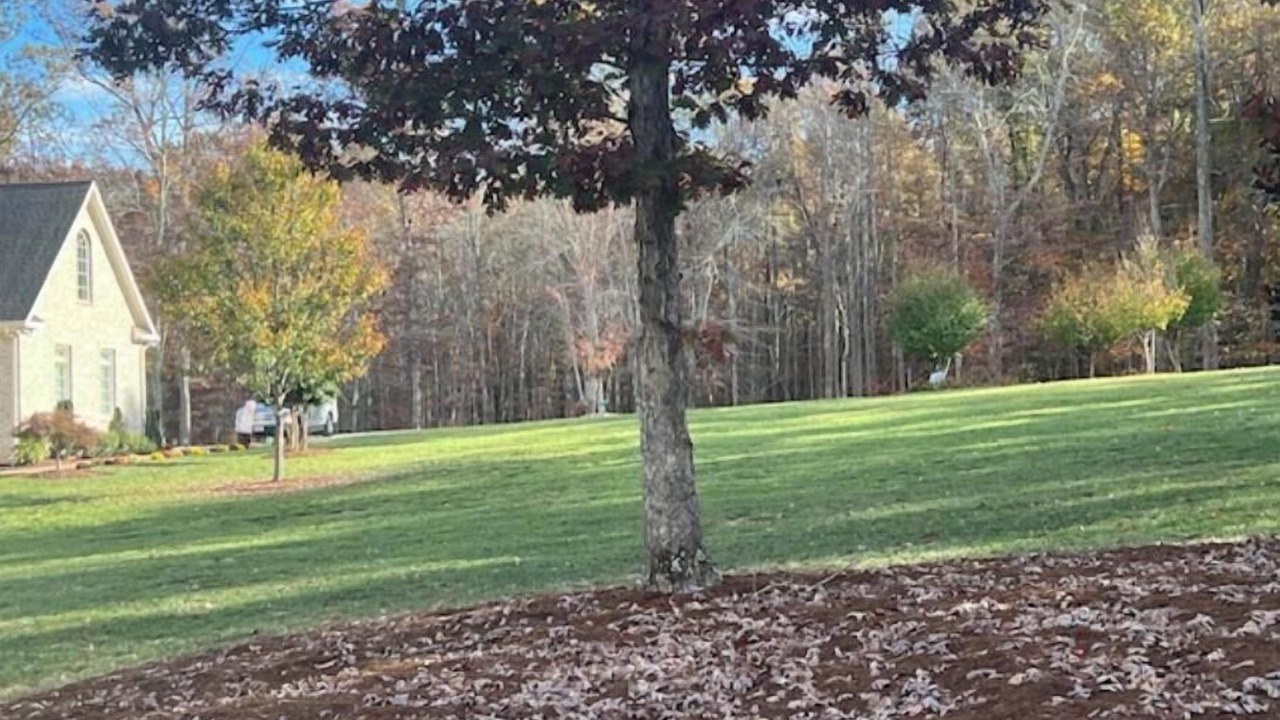 Photo of Outdoor in Piney Mountain