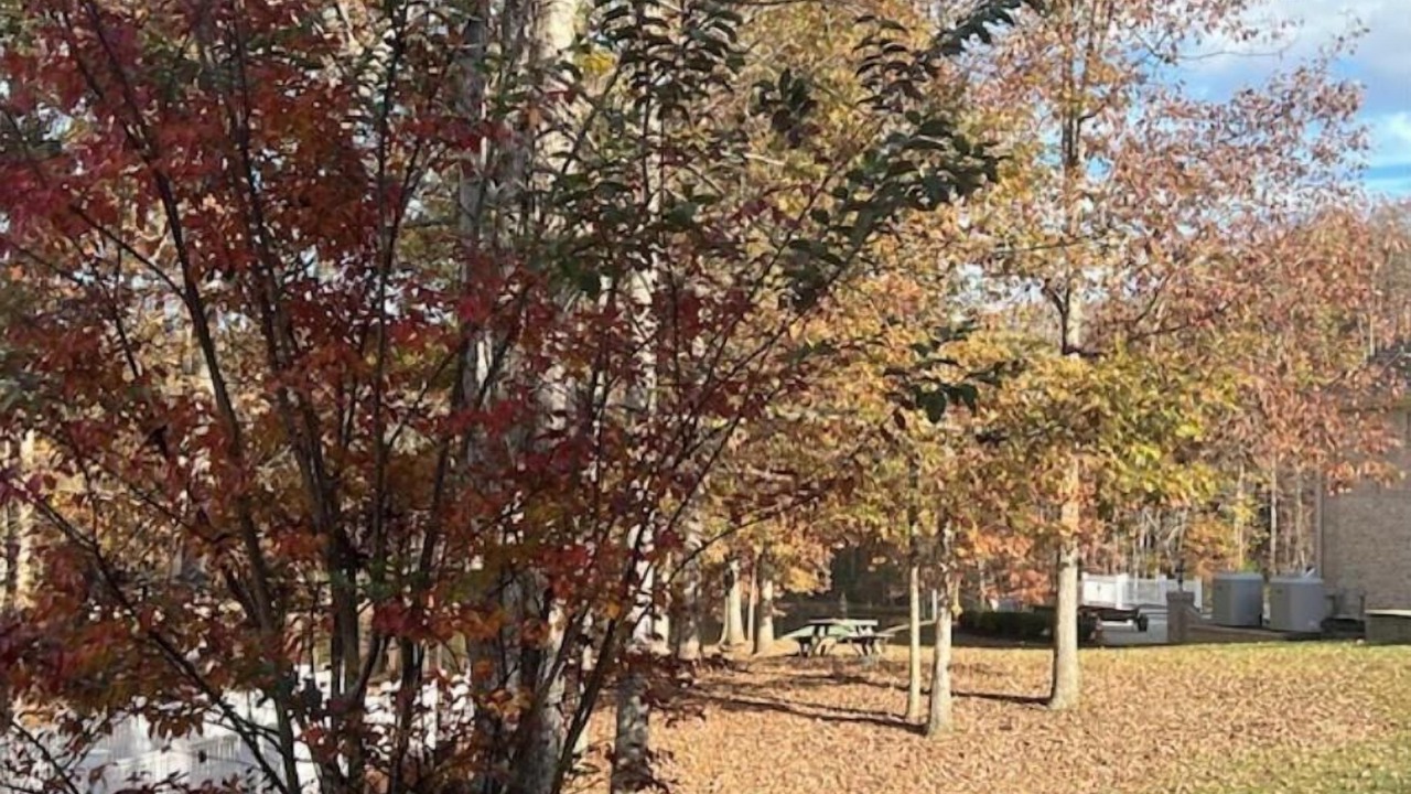 Photo of Others in Piney Mountain