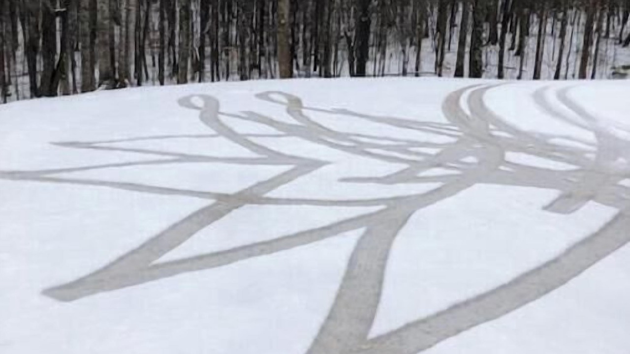 Photo of Others in Piney Mountain