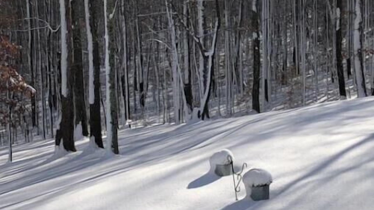 Photo of Others in Piney Mountain