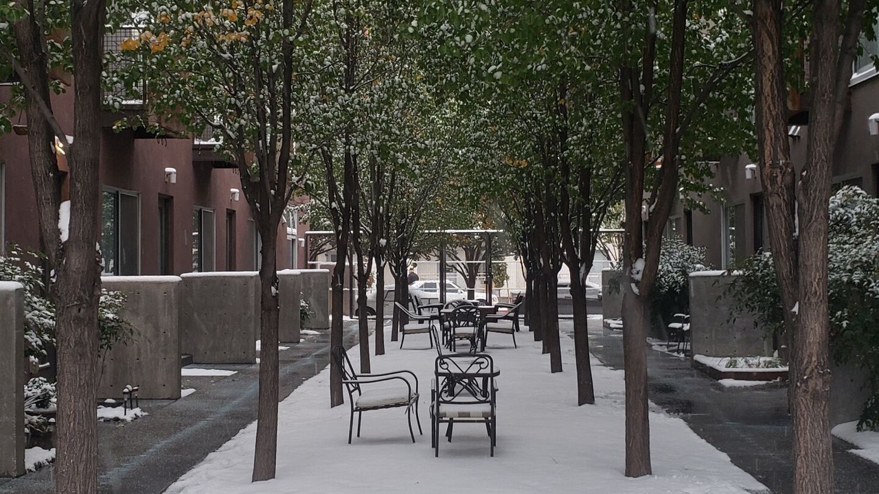 Photo of Outdoor in Raynolds Addition